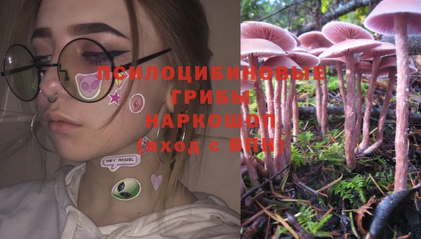 индика Алзамай