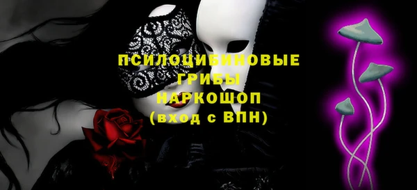 индика Алзамай