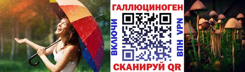 кракен зеркало  Нелидово  Псилоцибиновые грибы Magic Shrooms 